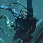 Whalefall: Novi film Briana Duffielda testira granice biologije, straha i ljudske izdržljivosti